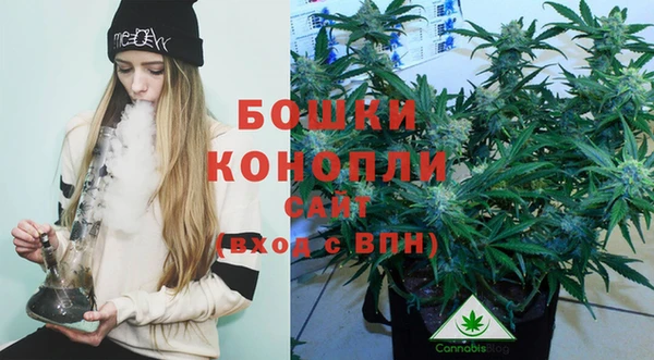 дживик Вяземский