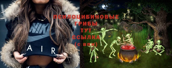 ECSTASY Вязники