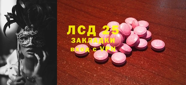 ПСИЛОЦИБИНОВЫЕ ГРИБЫ Вязьма