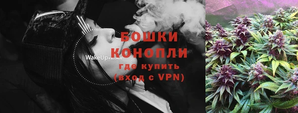 ПСИЛОЦИБИНОВЫЕ ГРИБЫ Вязьма